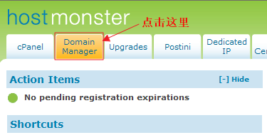 Domain manager.png
