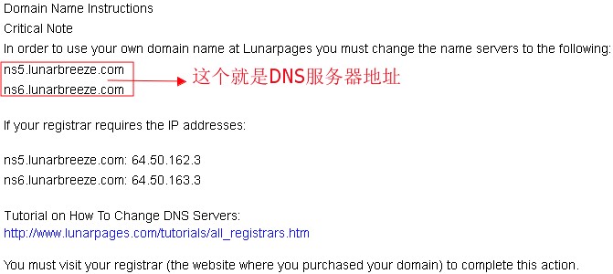 Dns.jpg